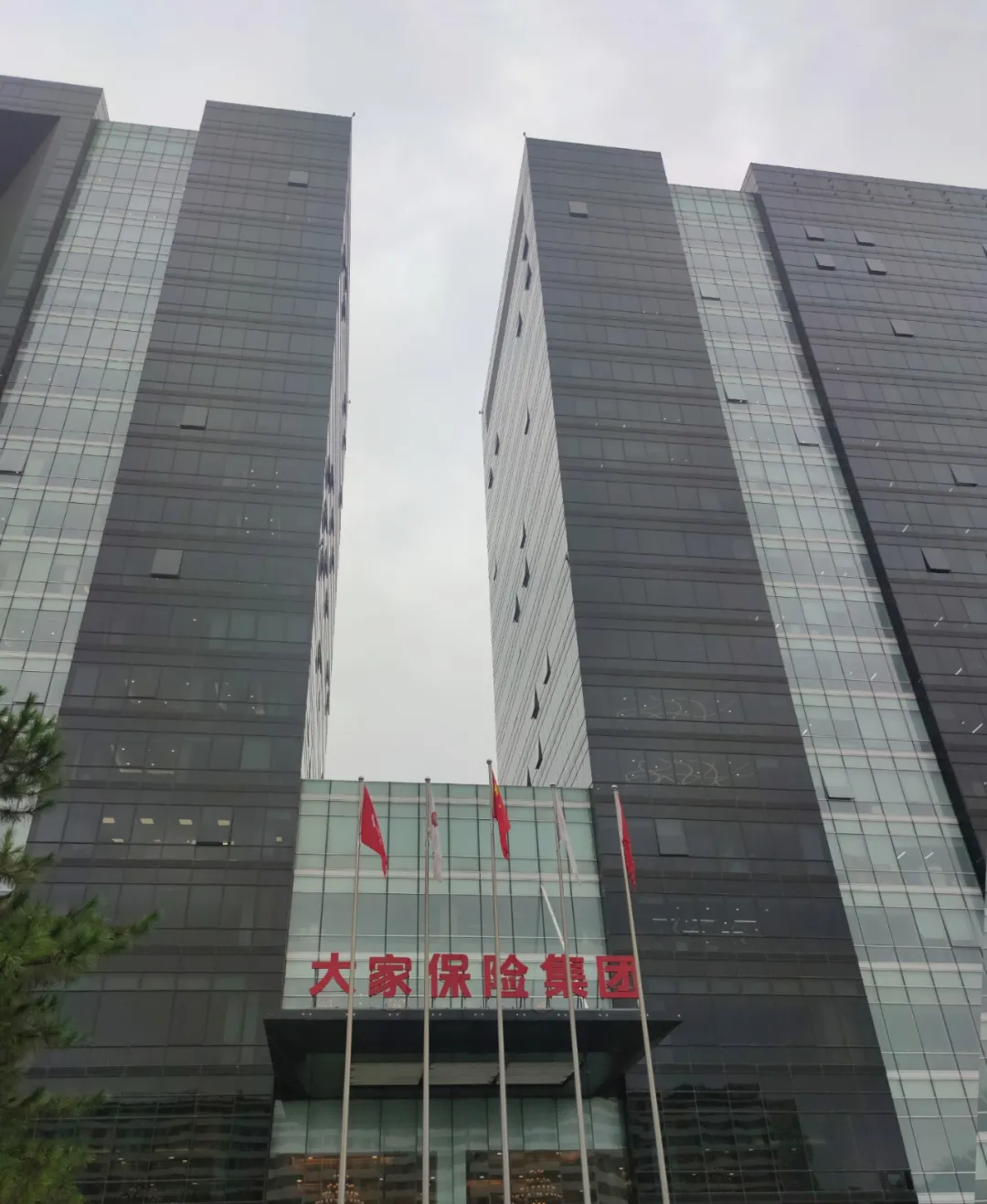 大家保险集团有限责任公司(以下简称"大家保险集团")成立于2019年6月