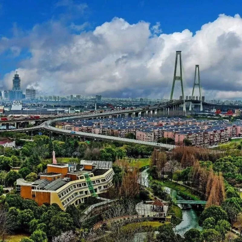 100万㎡枫林湾等待开发,西岸瞄准高端医药聚集地!