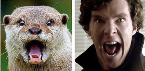 其实除了明星,普通人的日常表情管理也很重要!