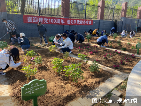 图片来源:现场拍摄