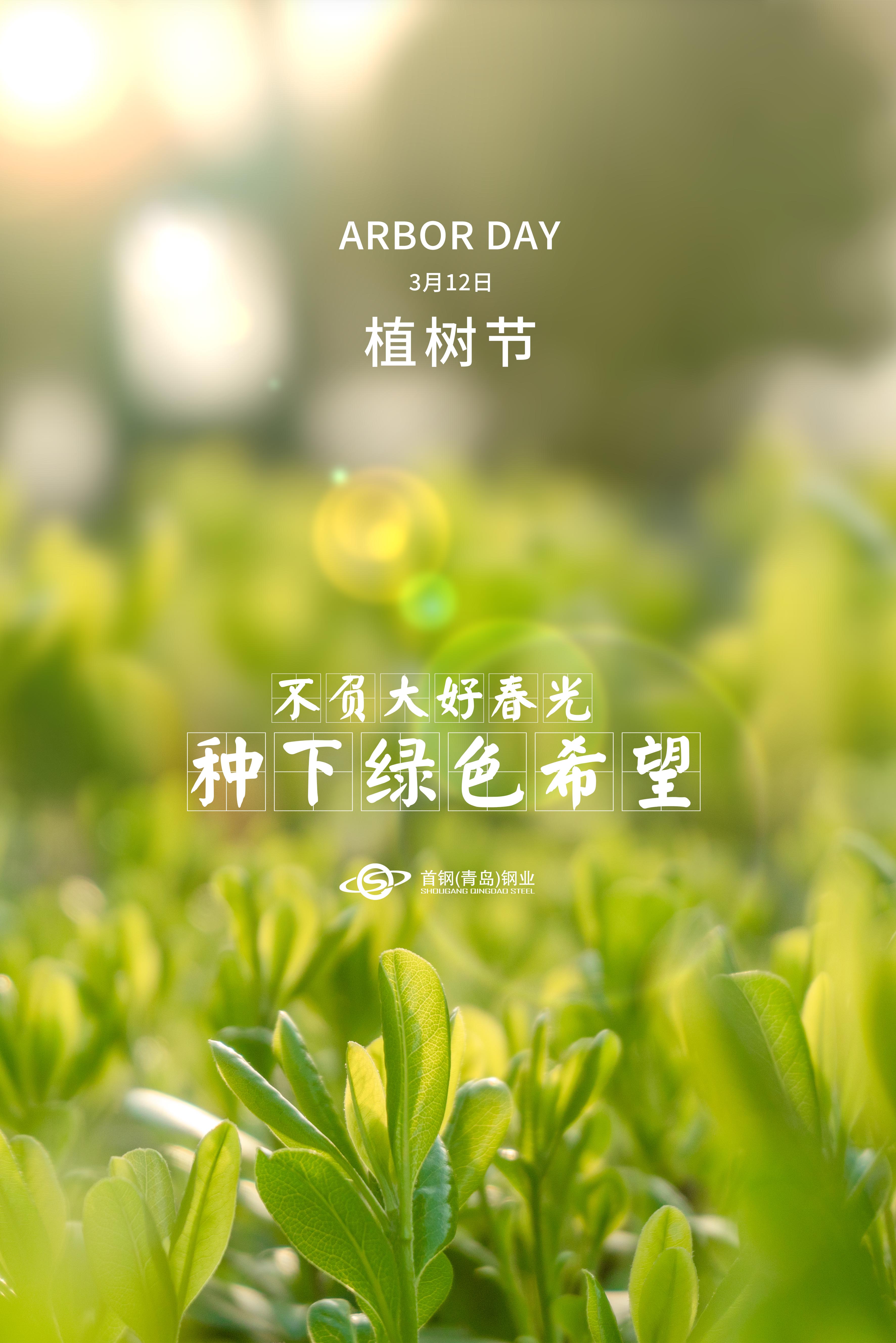 植树节|不负大好春光,种下绿色希望