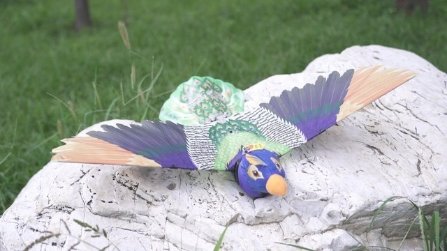 汉王科技发布新一代仿生机器鸟 布局服务机器人新赛道