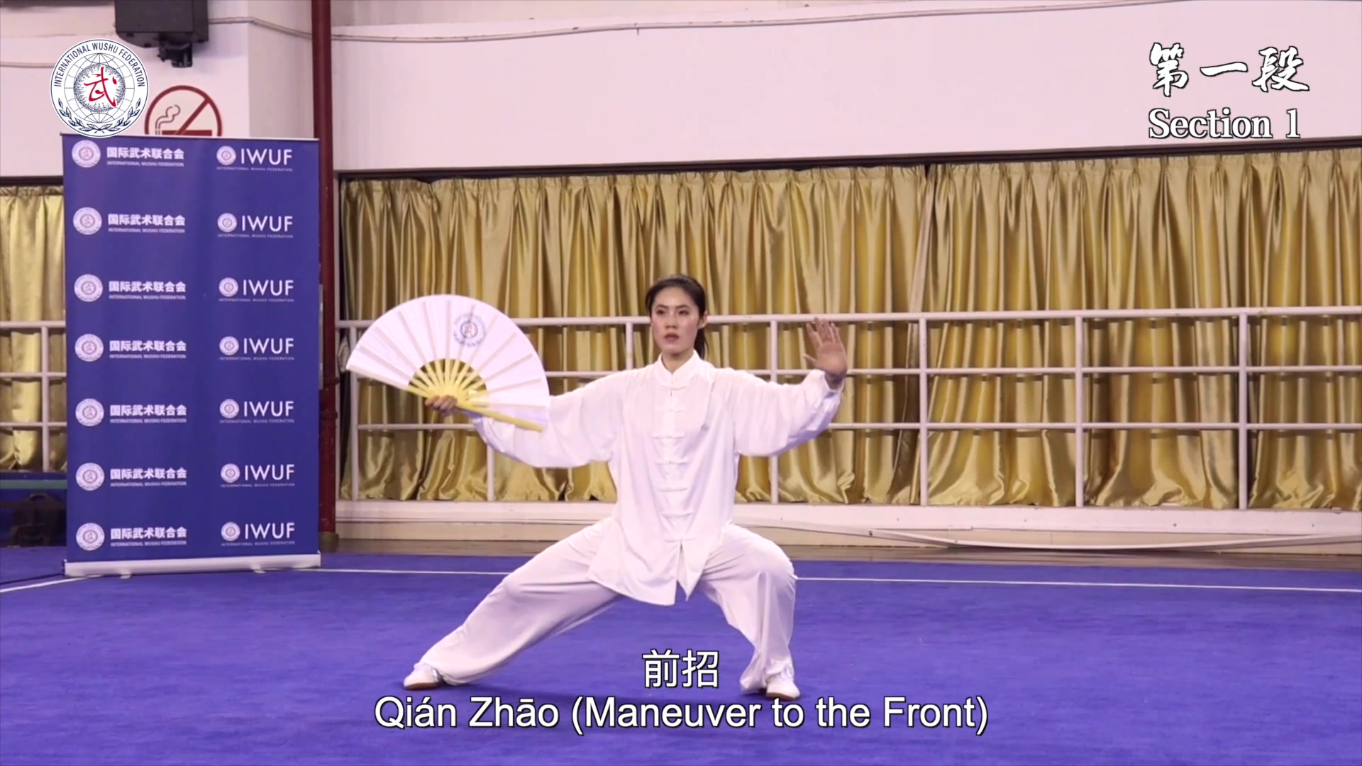 国际武联系列课堂：世界冠军杜昊滢演练自选太极扇（无难度）套路