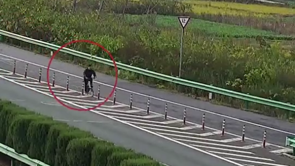 男子骑自行车高速逆行：我去帮朋友修车