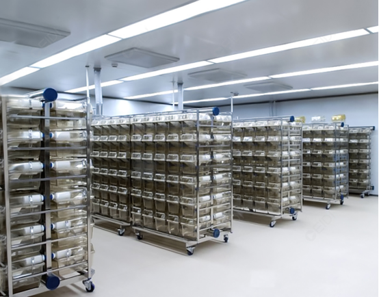 上海徐汇生命科学园动物生物安全二级实验室设计