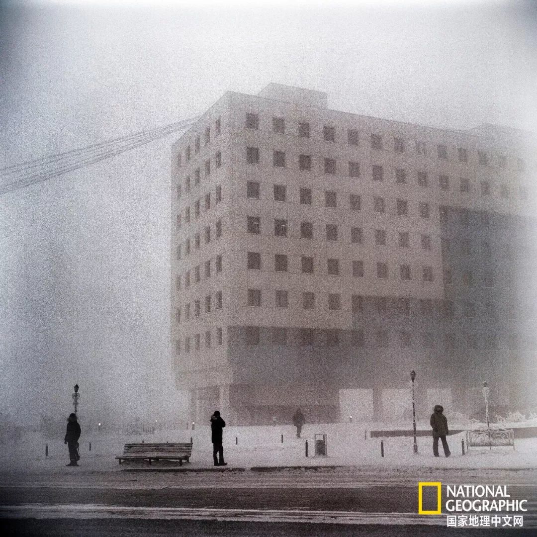城市笼罩在一片冰冷、浓厚的雾气之中。