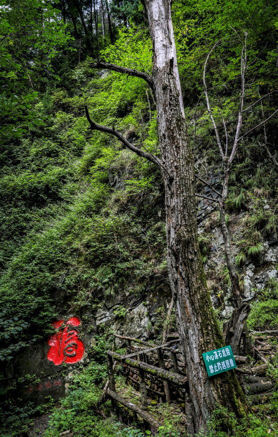 铁路迷的完美旅程，黑龙江7日自驾游路线