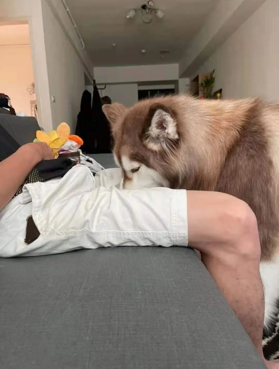 "不仅如此,狗子的表情还十分陶醉~打开凤凰新闻,查看更多高清图片男子