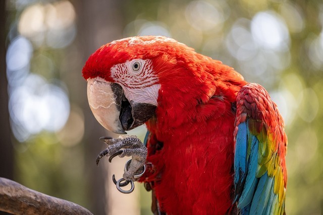 必买:从5000到20000元 尼康微单相机选购攻略