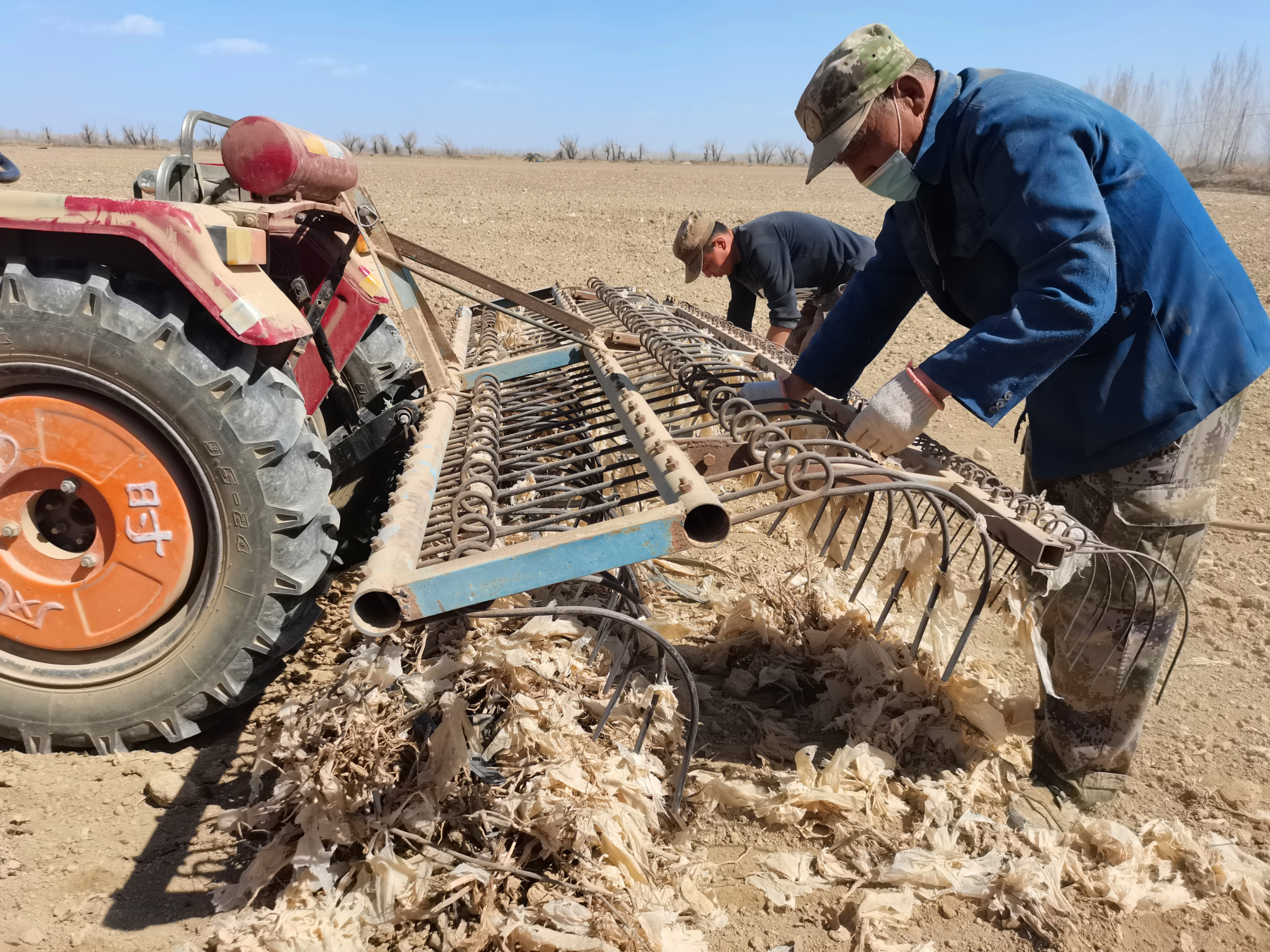 兵团第七师129团 回收残膜 清洁田园__凤凰网