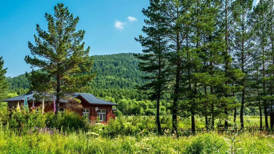 【摄影赏析】森林生态展新荣——中国著名摄影家冯凯文摄影作品欣赏