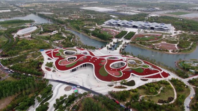 崇明花博丨蝴蝶上色完毕68万株花苗装点巨型彩蝶