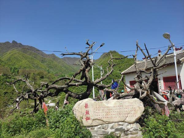 在灞河源头 把乡愁安放