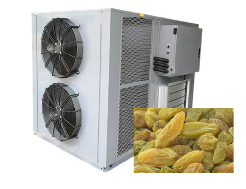 雄新食品烘干机烘干葡萄工艺__凤凰网