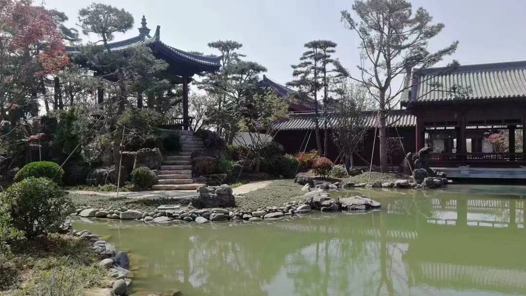 根据历史记载,仿唐代风格建造的庭院。 阜阳新闻网 图