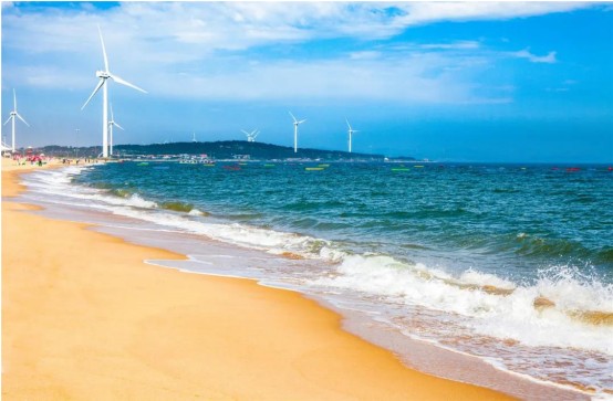 缤纷那香海,明媚好春光——在海边,与春天相约,与美好相逢_凤凰网