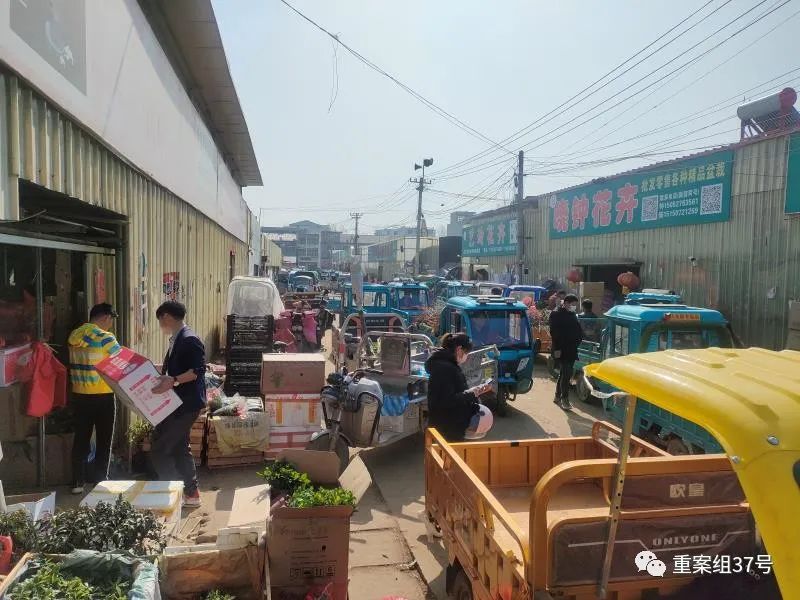 ▲3月26日上午，沭阳花卉园艺淘宝城非常热闹，网店店主骑着电动三轮车前来采购，常会把市场堵得水泄不通。新京报记者 韩福涛 摄