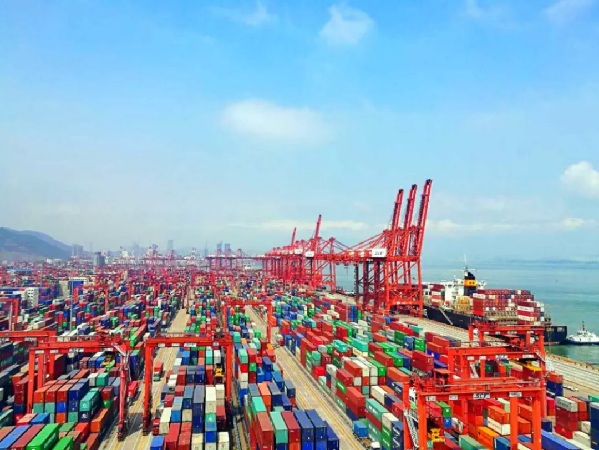 牛!大湾区里的先行示范区