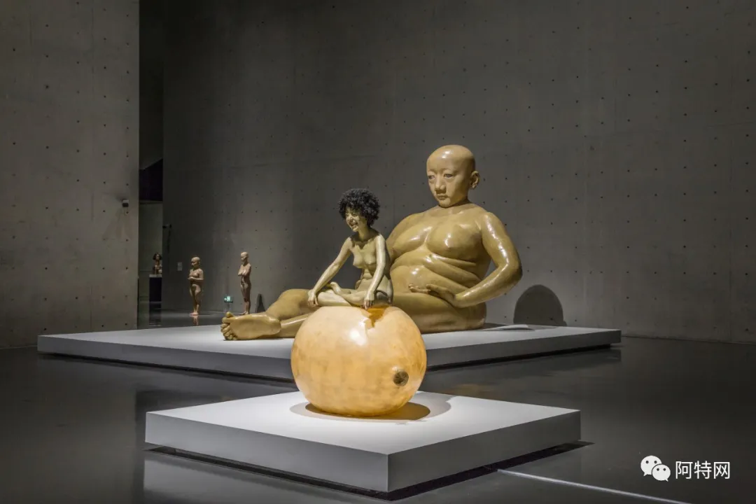 向京《中国"她"艺术》代表性艺术家