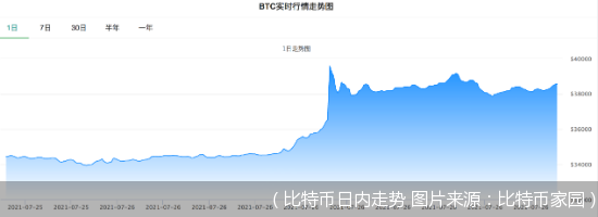 (比特币日内走势 图片来源:比特币家园)