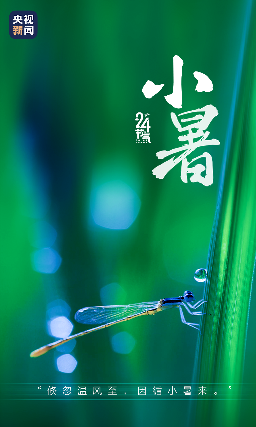 小暑至,入伏倒计时