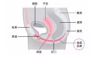 青岛新世纪妇儿医院关爱产后妈妈，用专业守护女性健康