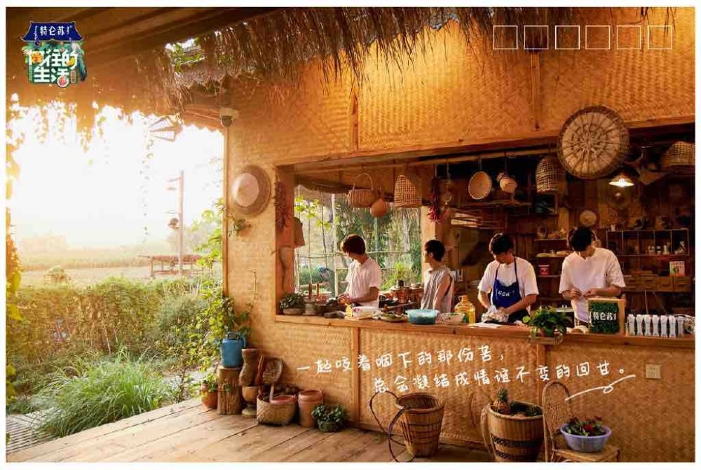 为何说《向往的生活》的"慢美学",是治愈"打工人"的心灵鸡汤