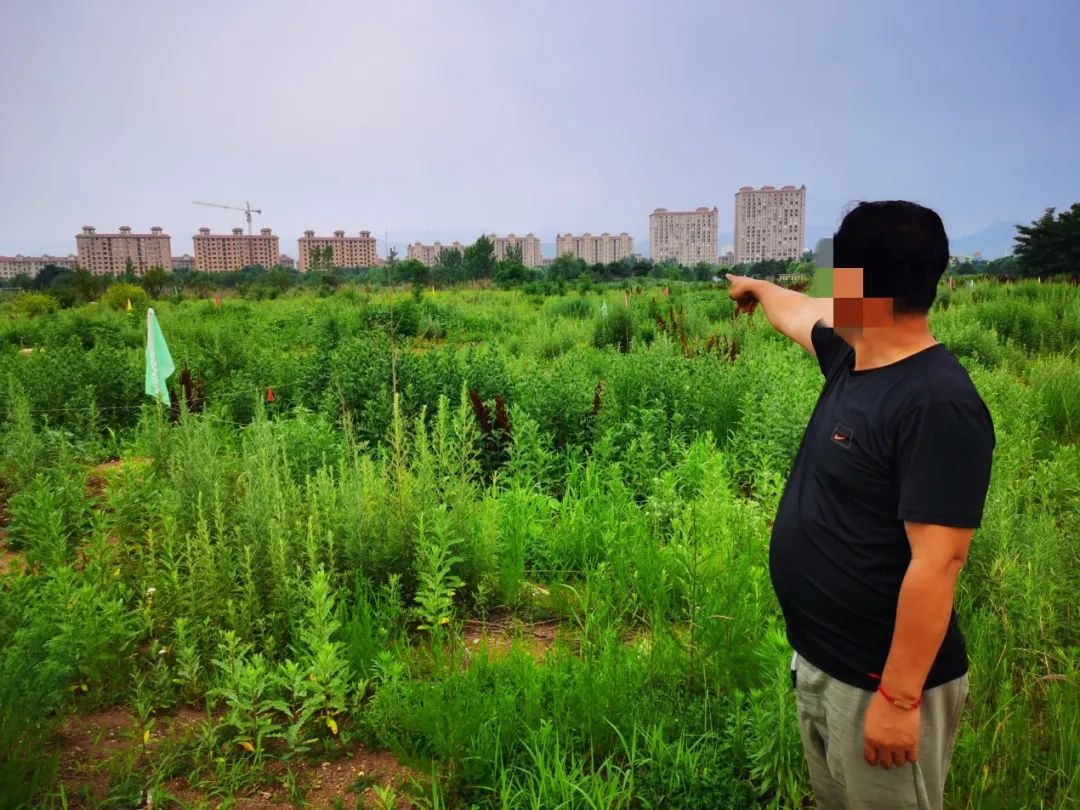 辽宁温泉排行_辽宁的养老城市,被誉为“中国最大最美的边境城市”,流连忘返(2)