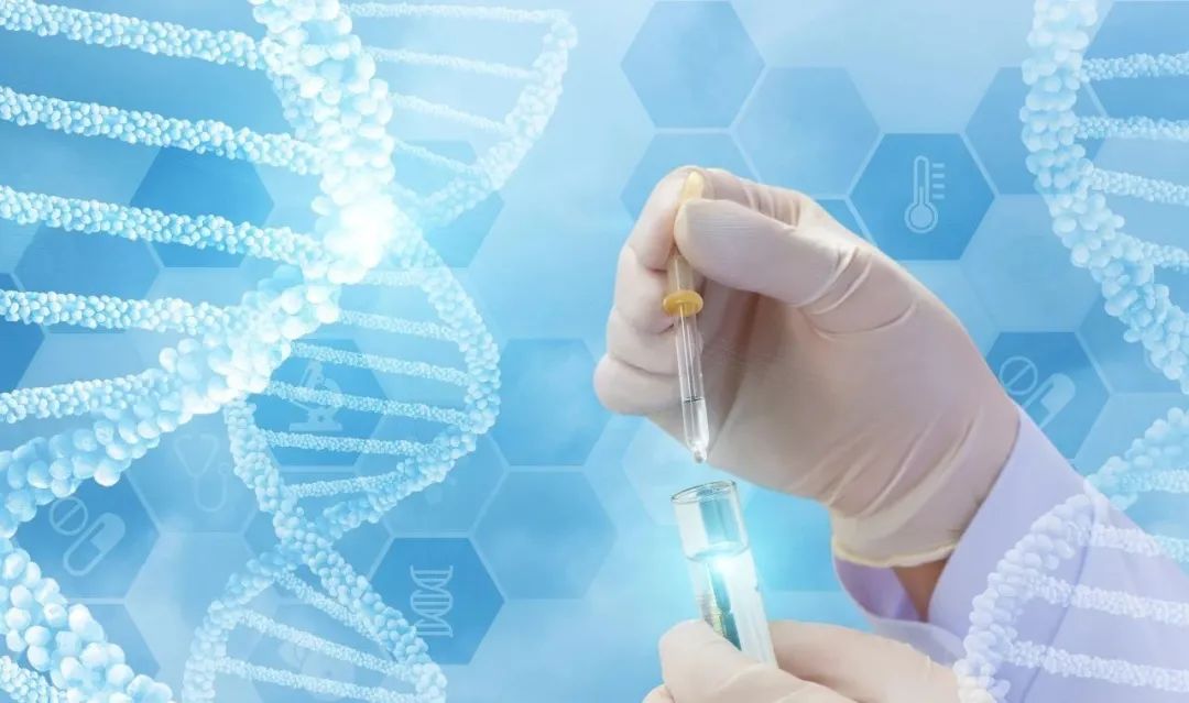 蓝晶微生物张浩千李腾我们为什么在合成生物学领域创业