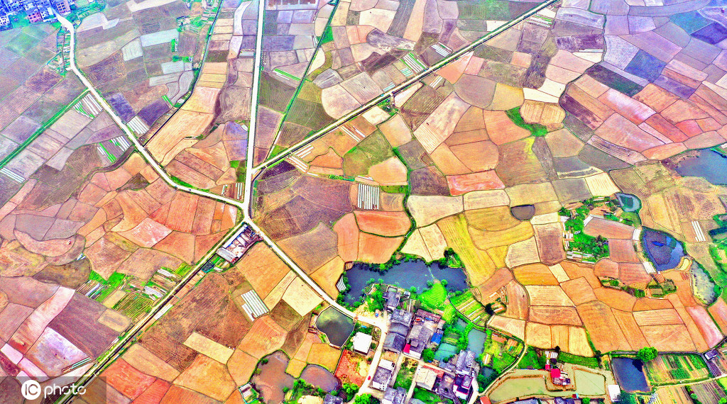 在江西省吉安市永丰县佐龙乡罗富村,从空中俯瞰春耕田园,色彩斑斓,风景如画。仲春时节,江西省吉安市永丰县风和日丽,当地农民抢抓晴朗天气投入水稻春耕春种生产。翻耕整理后的稻田色块交错似织锦,在春阳的映照下呈现大地韵律之美。