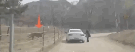 412.gif