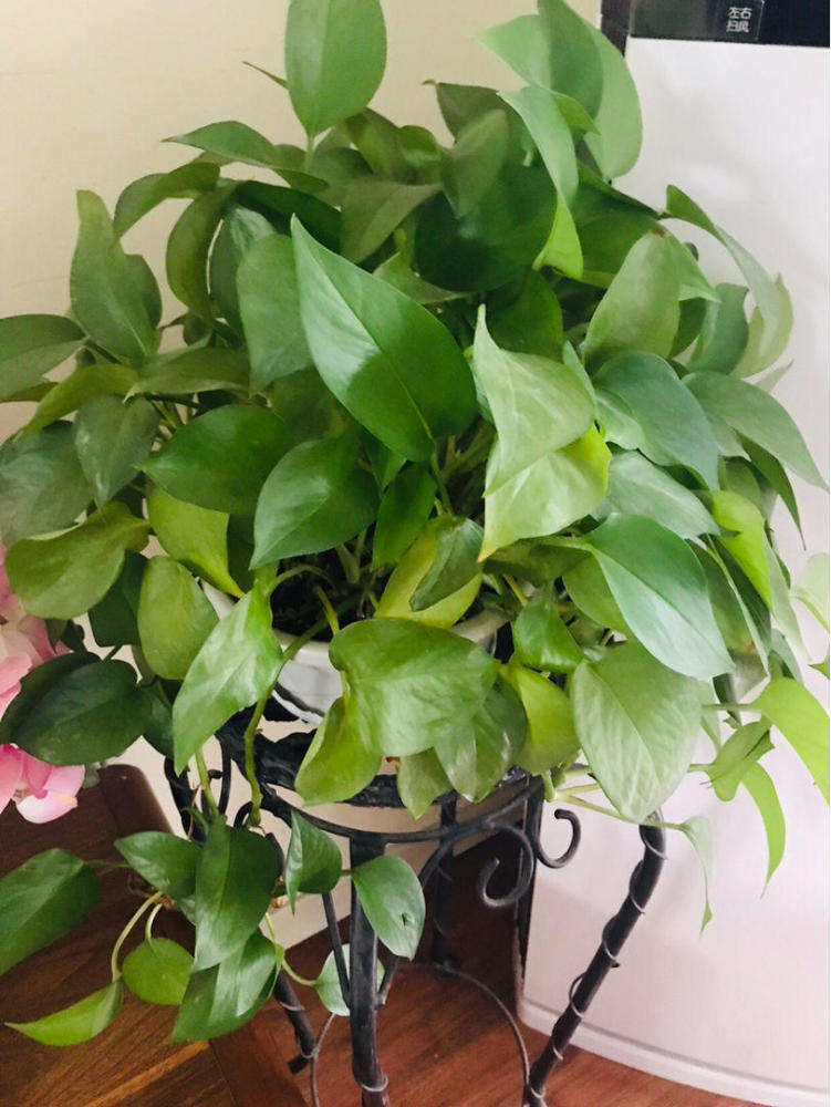 教你方法,一招补救!