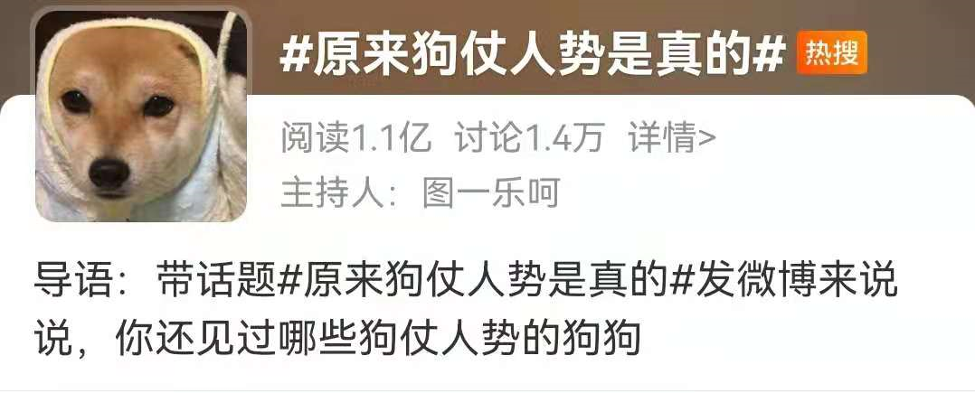 小鹿犬凭实力冲上热搜，原因竟是……笑屎了哈哈哈