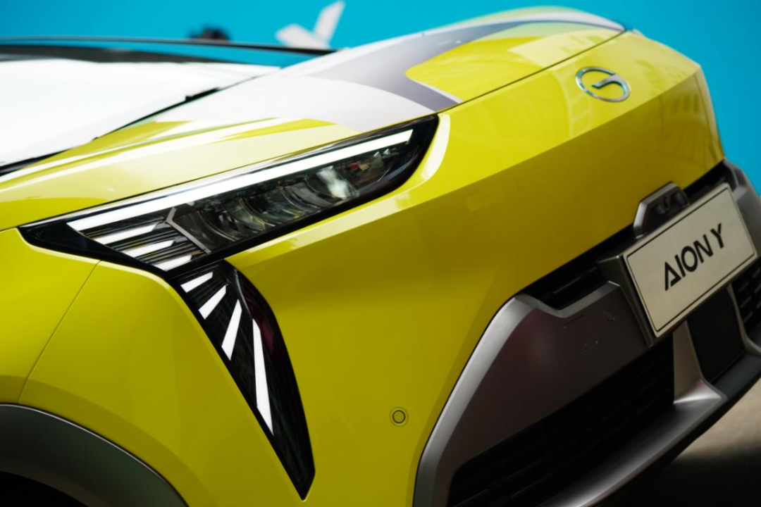 究竟是谁让s级蒙了圈而魔豆y又双叒叕躺枪