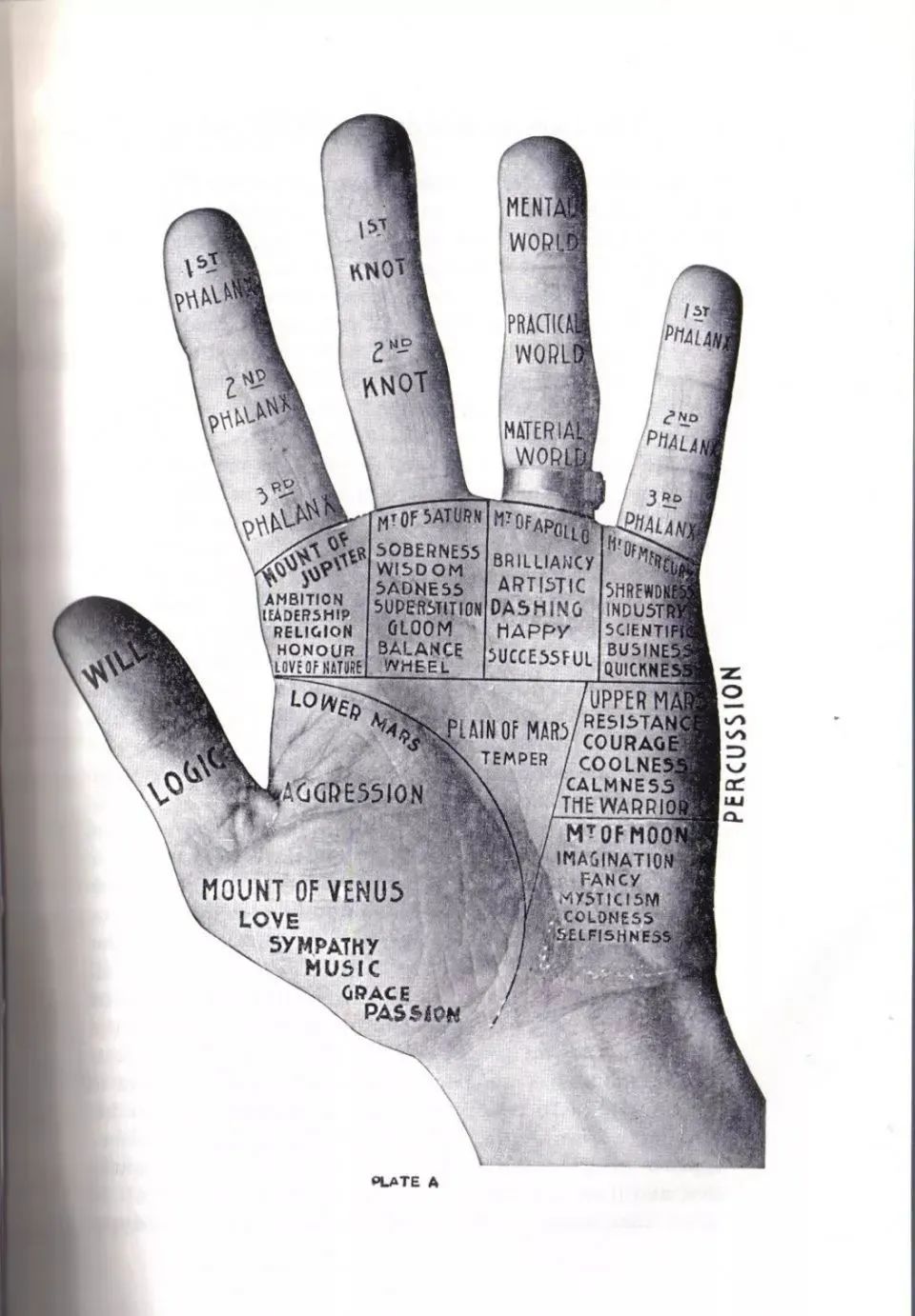 手中的三条线，被称为智慧，感情，生命线，分别代表着什么呢？