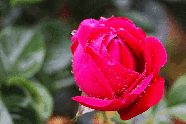 快来,遵义半小时直达宝藏花园