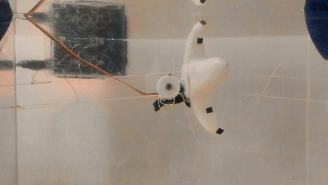 江苏90后科学家联合研发海星机器人有望用于海底探测