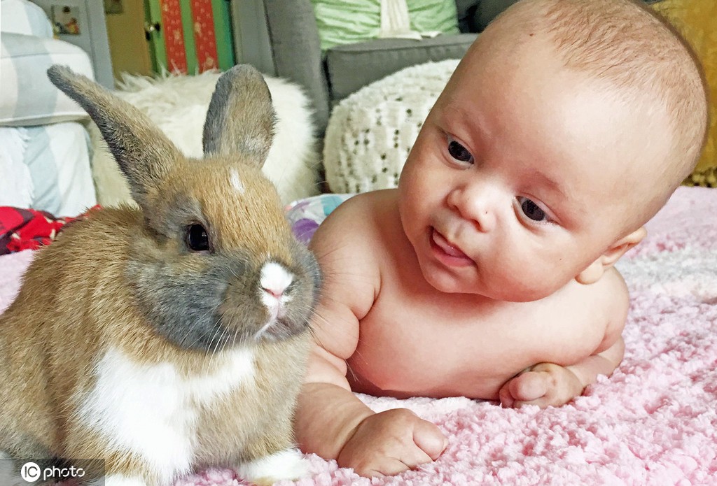 儿童节当萌娃遇上萌宠 温馨相处画面太有爱了