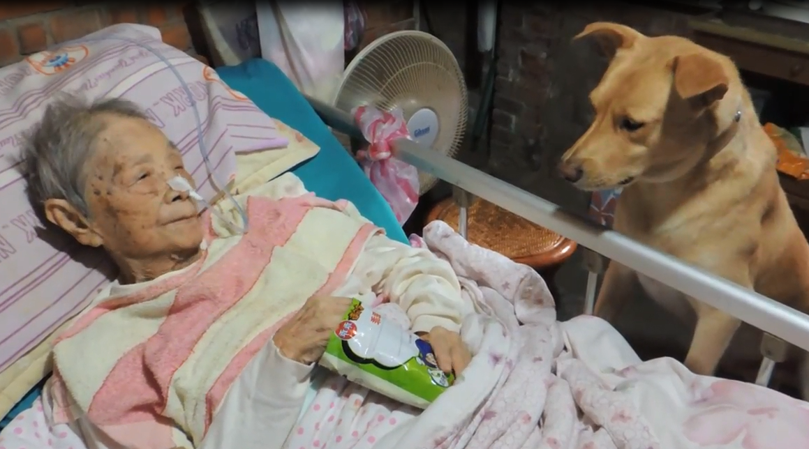 更想不到的是,从陈大妈生病住院,到现在在家养病这几个月的时间内,一