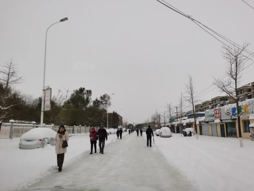 直通部委 | 两部门：内蒙古中东部、黑龙江等地存在阶段性大风和雪灾风险 交通运输部：全力防范应对低温雨雪冰冻恶劣天气|界面新闻 · 中国
