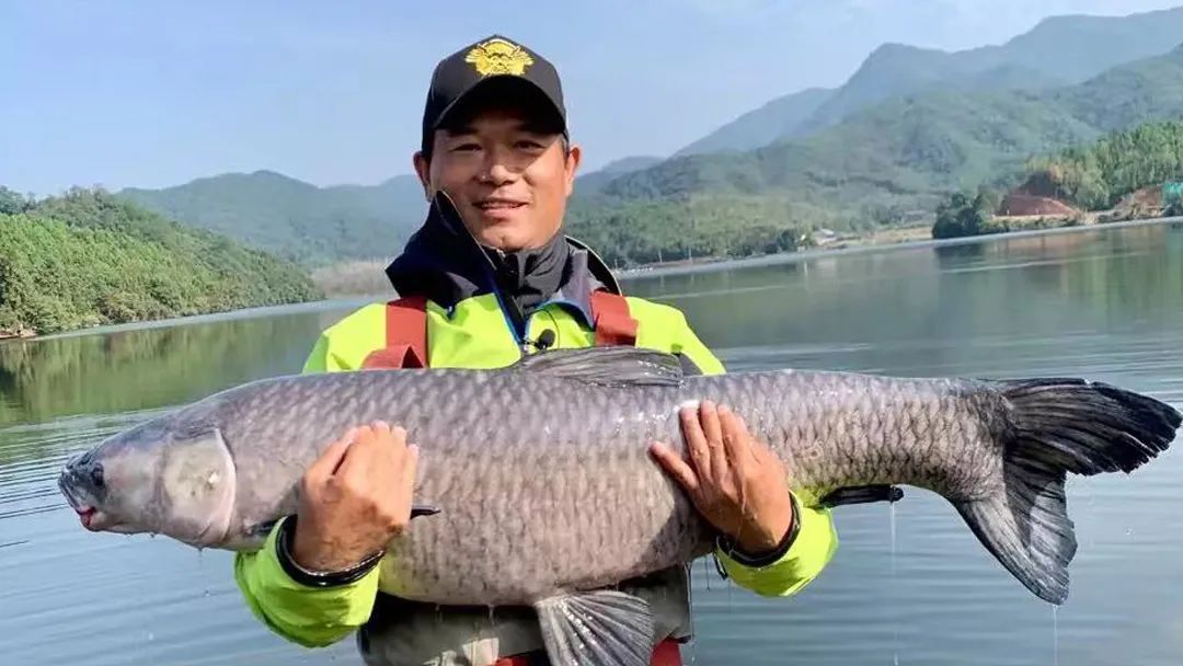 从内容来看,孙火旺,邓刚和安森垚都是典型的小众博主,因为欣赏他们