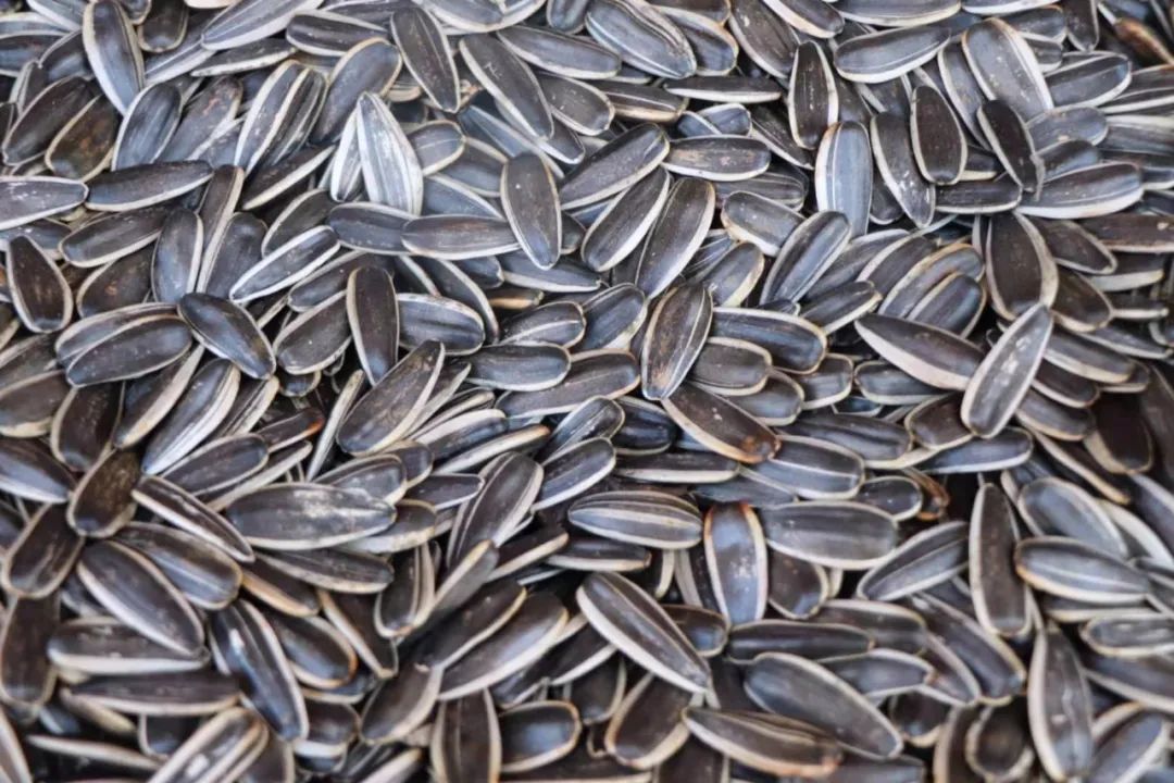 过大年咯!丽江年味炒货第一弹,瓜子真香预警