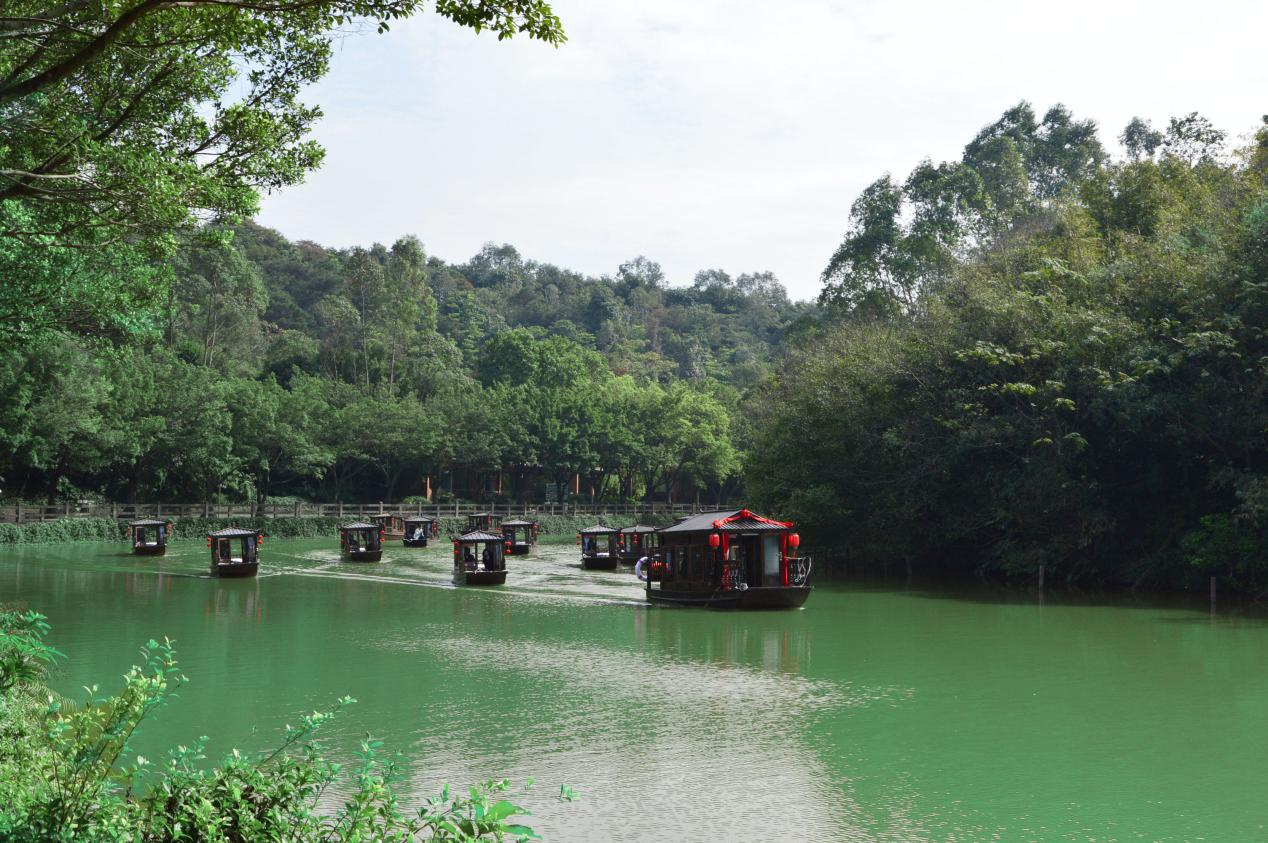 佛山顺德旅游:寻"龙"记