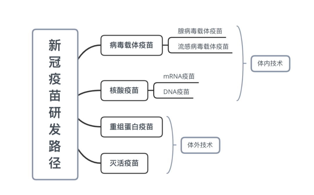 终于等来了novavax疫苗!100%预防重症,对变种有效,比其他疫苗更安全