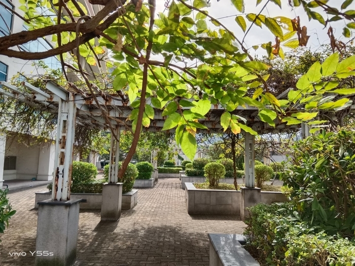 vivo Y55s体验:6000mAh的超长续航,能量直接拉满