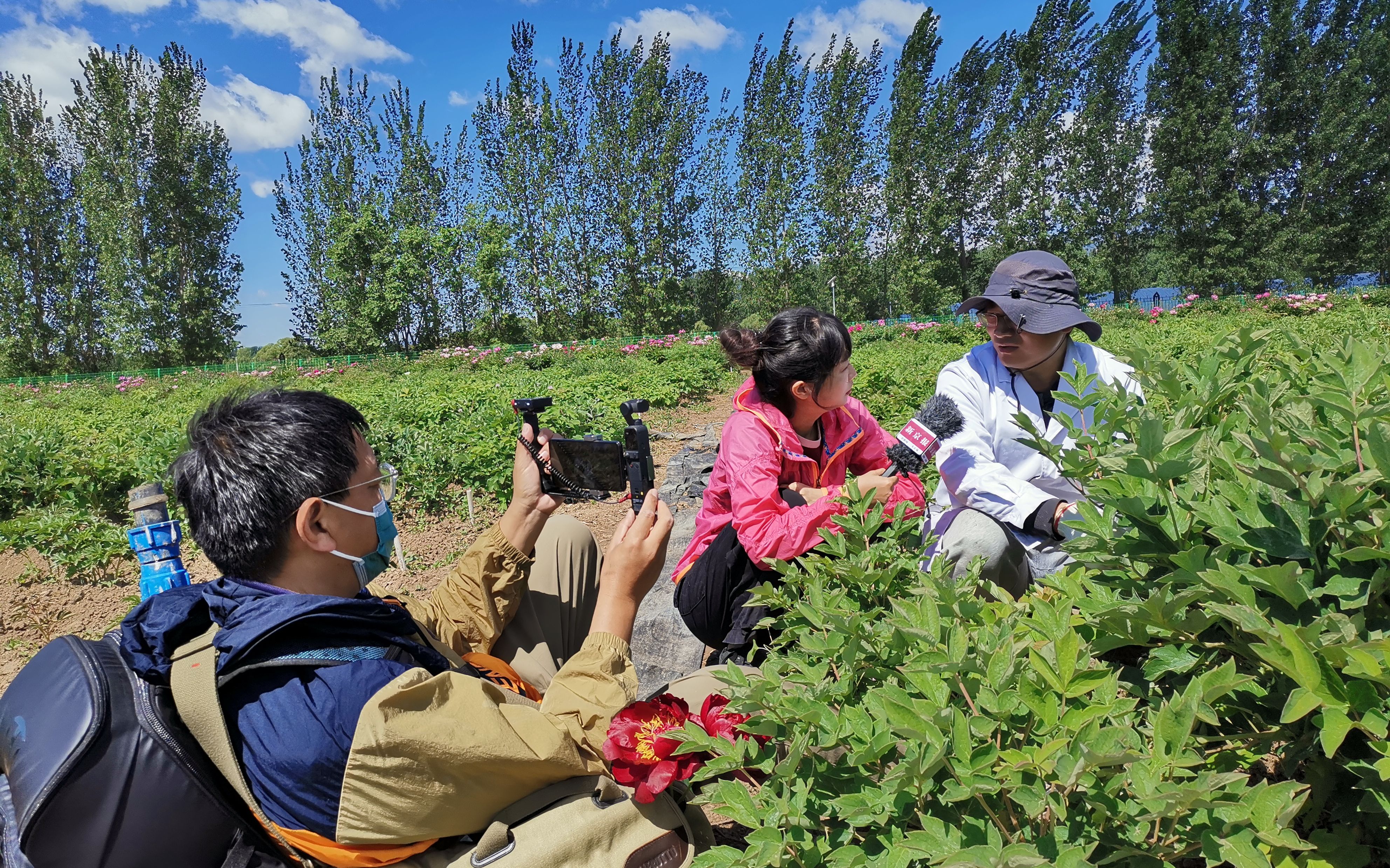 快來看（農(nóng)業(yè)科學家怎么翻譯）農(nóng)業(yè)科學家英文翻譯，萬人在線觀看農(nóng)業(yè)科學家講述牡丹故事，霍尊女友陳露個人資料，