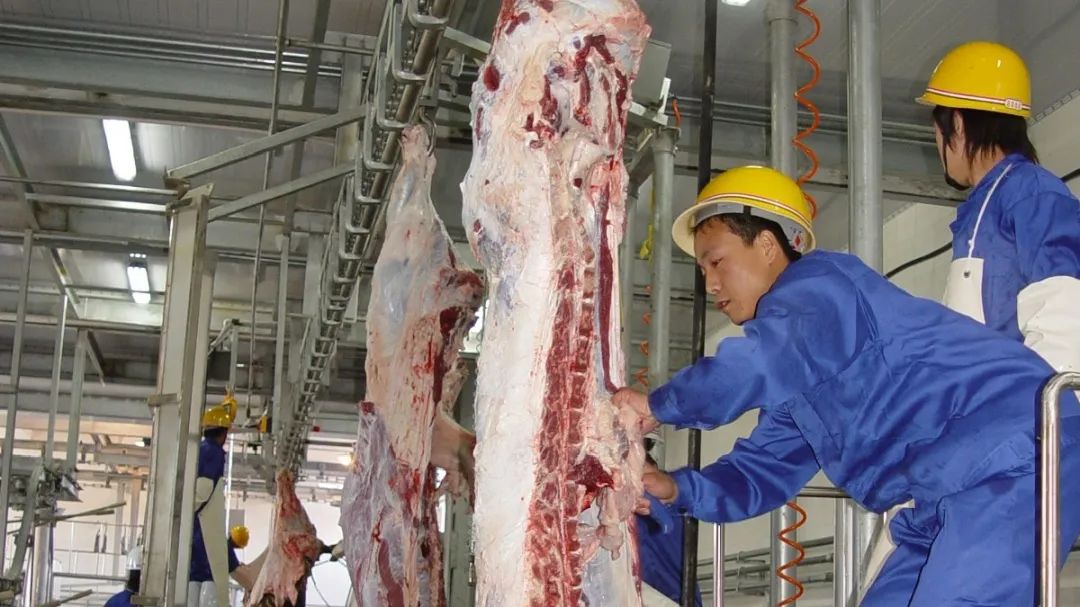 河北:规范牛羊屠宰生产经营,确保"舌尖上的安全"