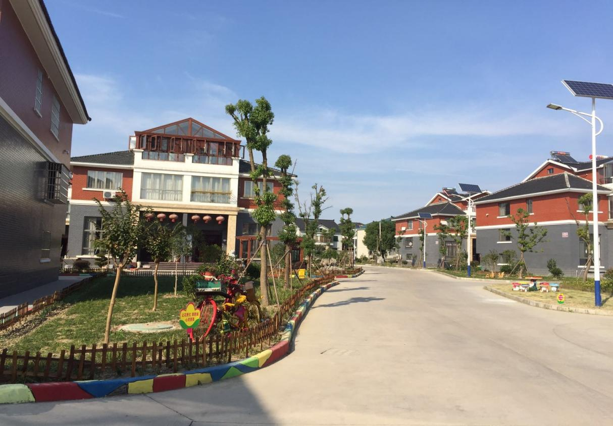 房前屋后绿植满地……行走在海盐县通元镇浦漾村镇南小区新农村里