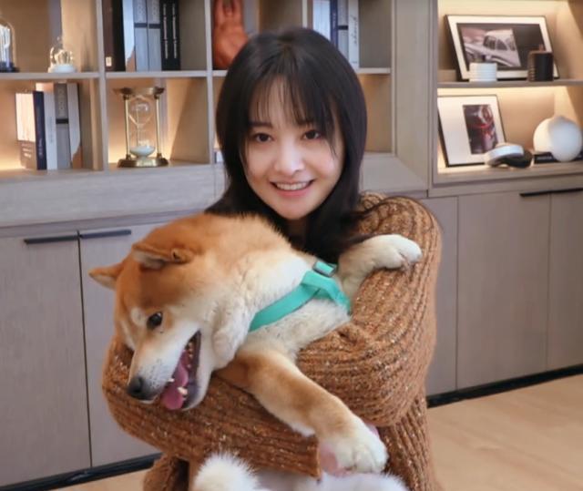 张恒曝光郑爽劣迹:舍不得给狗看病直接遗弃,在超市吃喝不结账