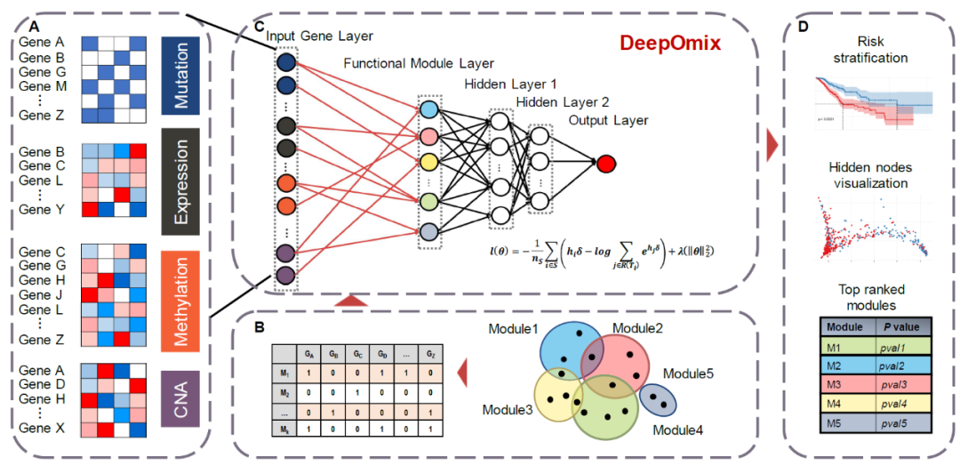 中科院计算所赵屹团队发表多组学数据融合深度学习框架——DeepOmix__凤凰网